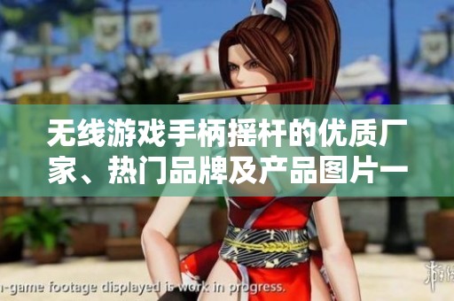 无线游戏手柄摇杆的优质厂家、热门品牌及产品图片一览