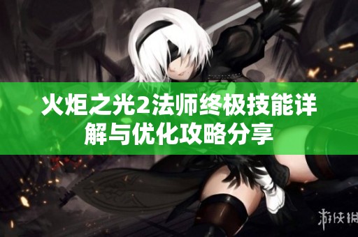 火炬之光2法师终极技能详解与优化攻略分享