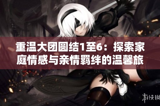 重温大团圆结1至6：探索家庭情感与亲情羁绊的温馨旅程