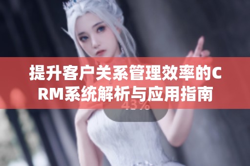 提升客户关系管理效率的CRM系统解析与应用指南