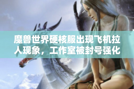 魔兽世界硬核服出现飞机拉人现象，工作室被封号强化打击内幕详解