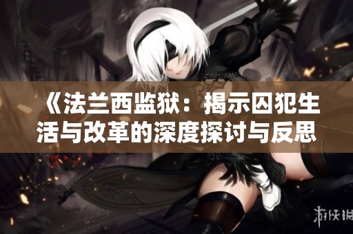 《法兰西监狱：揭示囚犯生活与改革的深度探讨与反思》