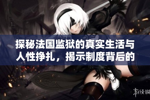 探秘法国监狱的真实生活与人性挣扎，揭示制度背后的故事与挑战