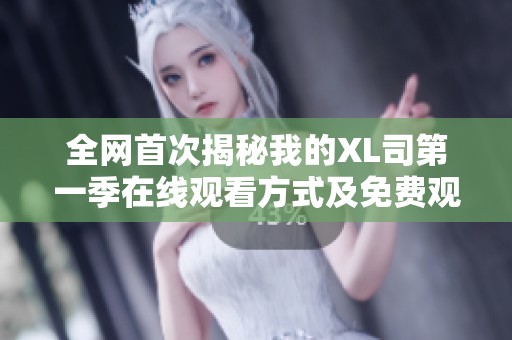 全网首次揭秘我的XL司第一季在线观看方式及免费观看攻略