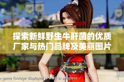 探索新鲜野生牛肝菌的优质厂家与热门品牌及美丽图片推荐