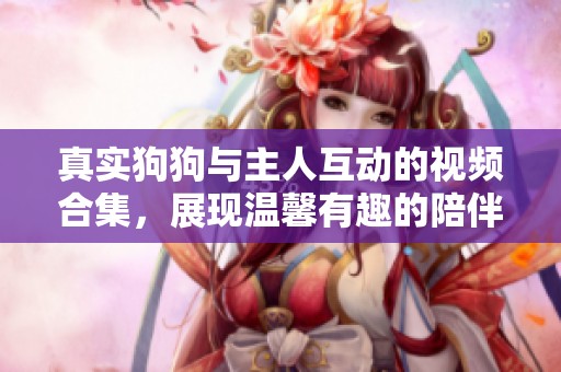 真实狗狗与主人互动的视频合集，展现温馨有趣的陪伴时刻