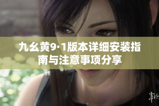 九幺黄9·1版本详细安装指南与注意事项分享