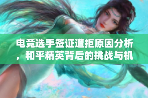 电竞选手签证遭拒原因分析，和平精英背后的挑战与机遇