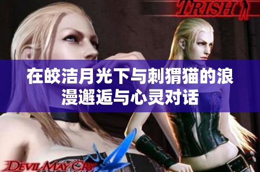 在皎洁月光下与刺猬猫的浪漫邂逅与心灵对话