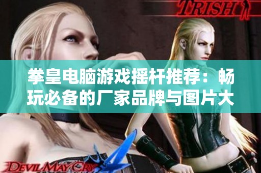 拳皇电脑游戏摇杆推荐：畅玩必备的厂家品牌与图片大全解析