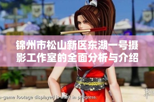 锦州市松山新区东湖一号摄影工作室的全面分析与介绍