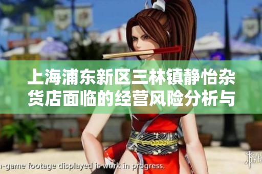 上海浦东新区三林镇静怡杂货店面临的经营风险分析与应对策略