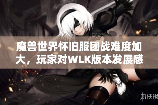 魔兽世界怀旧服团战难度加大，玩家对WLK版本发展感到失望与困惑