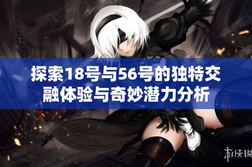探索18号与56号的独特交融体验与奇妙潜力分析