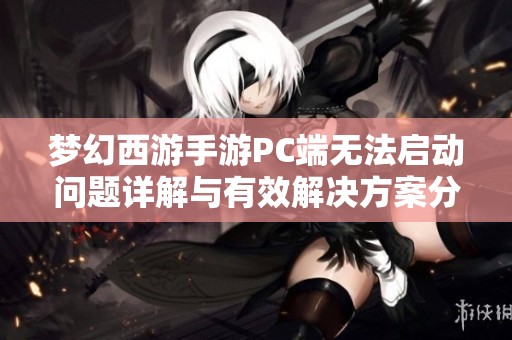梦幻西游手游PC端无法启动问题详解与有效解决方案分析