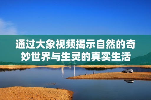 通过大象视频揭示自然的奇妙世界与生灵的真实生活