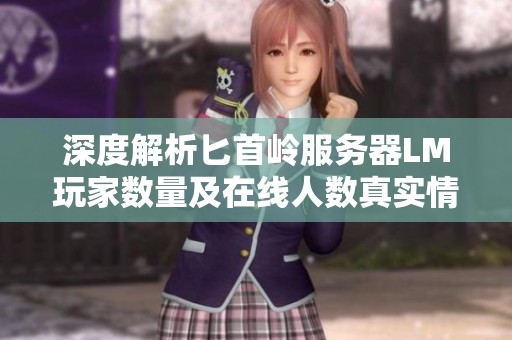 深度解析匕首岭服务器LM玩家数量及在线人数真实情况