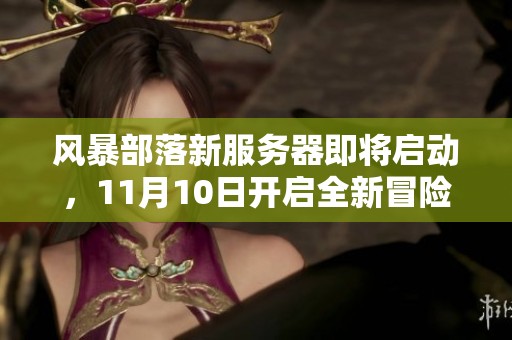风暴部落新服务器即将启动，11月10日开启全新冒险之旅，快来参与！