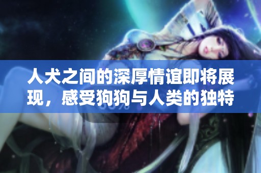 人犬之间的深厚情谊即将展现，感受狗狗与人类的独特默契与温情故事