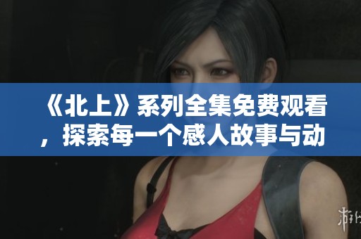 《北上》系列全集免费观看，探索每一个感人故事与动人瞬间