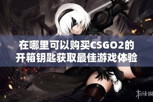 在哪里可以购买CSGO2的开箱钥匙获取最佳游戏体验