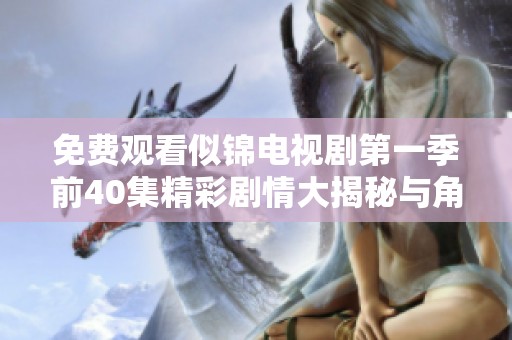 免费观看似锦电视剧第一季前40集精彩剧情大揭秘与角色分析