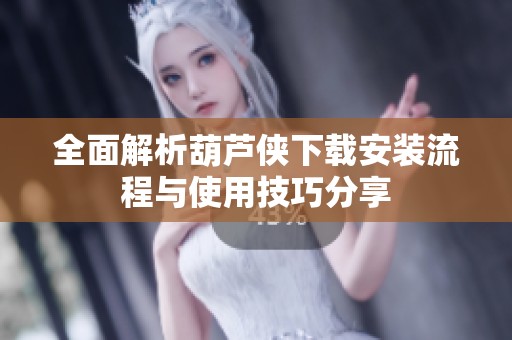 全面解析葫芦侠下载安装流程与使用技巧分享
