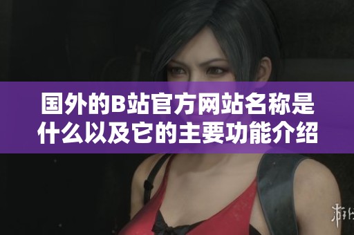 国外的B站官方网站名称是什么以及它的主要功能介绍