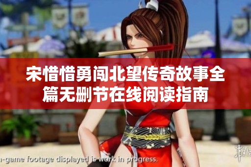 宋惜惜勇闯北望传奇故事全篇无删节在线阅读指南