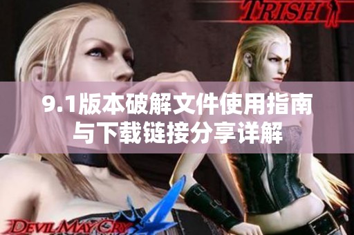 9.1版本破解文件使用指南与下载链接分享详解