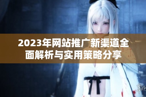 2023年网站推广新渠道全面解析与实用策略分享