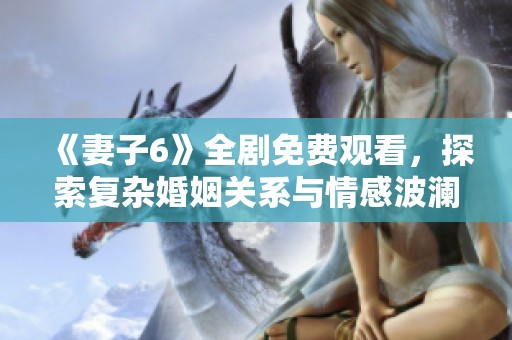 《妻子6》全剧免费观看，探索复杂婚姻关系与情感波澜的热播剧