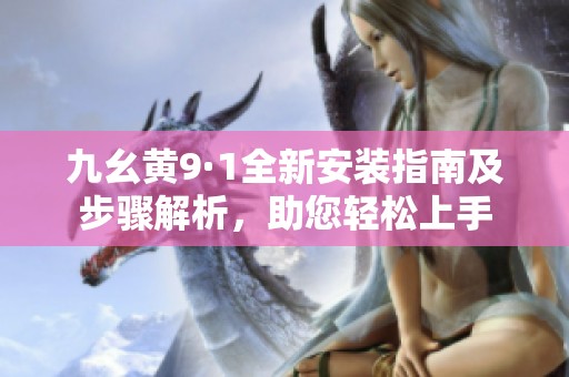 九幺黄9·1全新安装指南及步骤解析，助您轻松上手