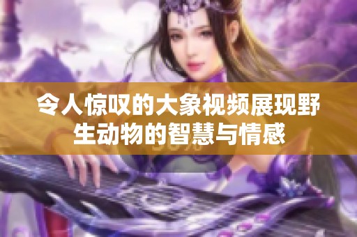 令人惊叹的大象视频展现野生动物的智慧与情感