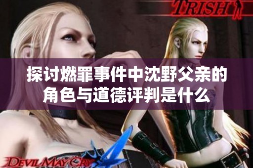 探讨燃罪事件中沈野父亲的角色与道德评判是什么