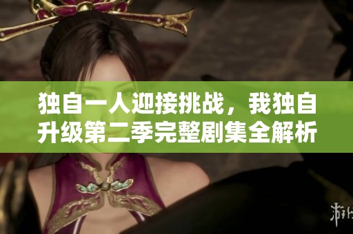 独自一人迎接挑战，我独自升级第二季完整剧集全解析