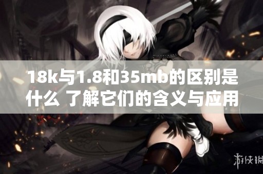 18k与1.8和35mb的区别是什么 了解它们的含义与应用