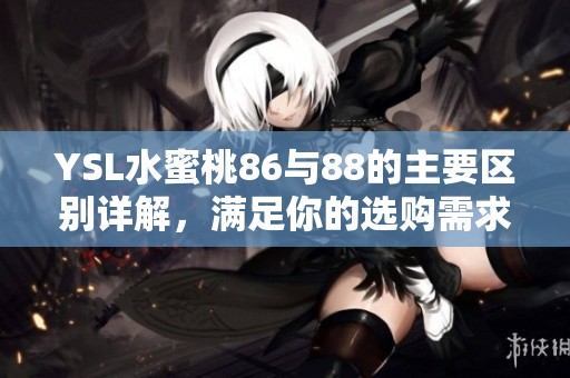 YSL水蜜桃86与88的主要区别详解，满足你的选购需求