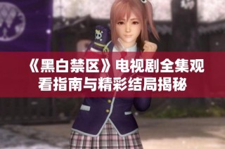 《黑白禁区》电视剧全集观看指南与精彩结局揭秘