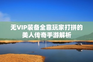 无VIP装备全靠玩家打拼的美人传奇手游解析