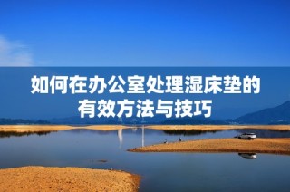 如何在办公室处理湿床垫的有效方法与技巧