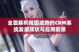 全面解析我国成熟的CRM系统发展现状与应用前景