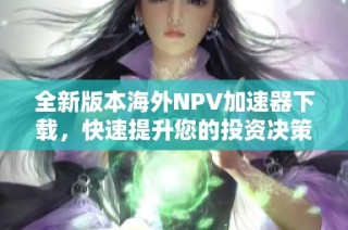全新版本海外NPV加速器下载，快速提升您的投资决策效率
