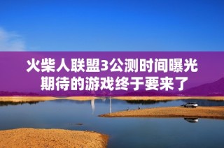 火柴人联盟3公测时间曝光 期待的游戏终于要来了