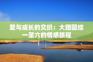 爱与成长的交织：大团圆结一至六的情感旅程