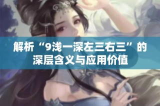 解析“9浅一深左三右三”的深层含义与应用价值