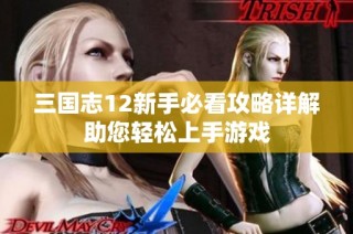 三国志12新手必看攻略详解助您轻松上手游戏