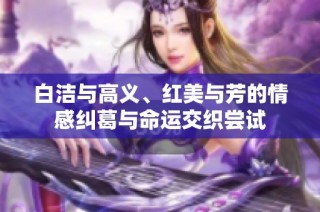 白洁与高义、红美与芳的情感纠葛与命运交织尝试