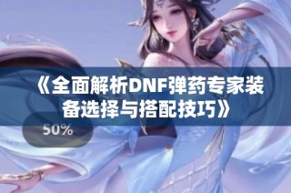 《全面解析DNF弹药专家装备选择与搭配技巧》