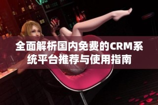 全面解析国内免费的CRM系统平台推荐与使用指南